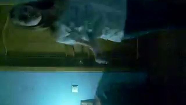 Только начала учиться Хип-Хопу)) смотреть онлайн