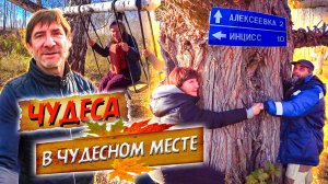 324 Деревня Алексеевка  Омская область. Деревня в глуши. Красоты и аномалии Западной Сибири.