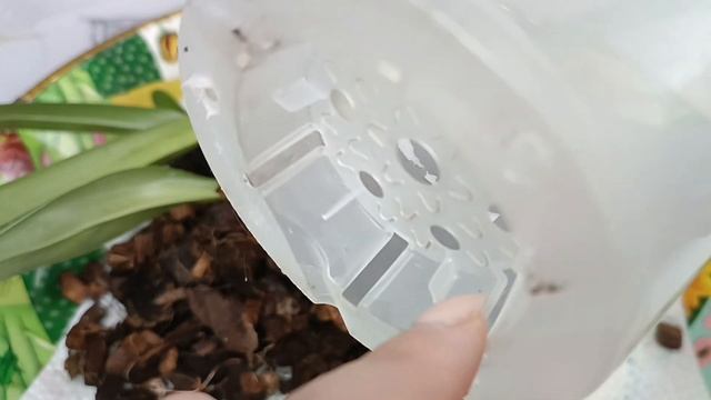 Этот природный минерал регулирует кислотность грунта смотреть онлайн