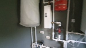 зеленая опушка 2 май 2025