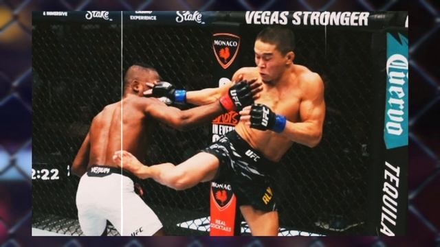 Обзор на главний поединок турнира UFC fight night Асу Алмаба?