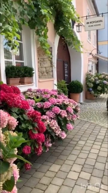 Украшаем сад гортензиями в кашпо#гортензия #hydrangea #гор? смотреть онлайн