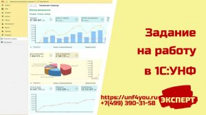 Задание на работу в 1С:УНФ