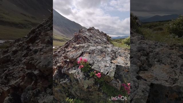 Камчатка 13-22 июля 2024г. часть 2
