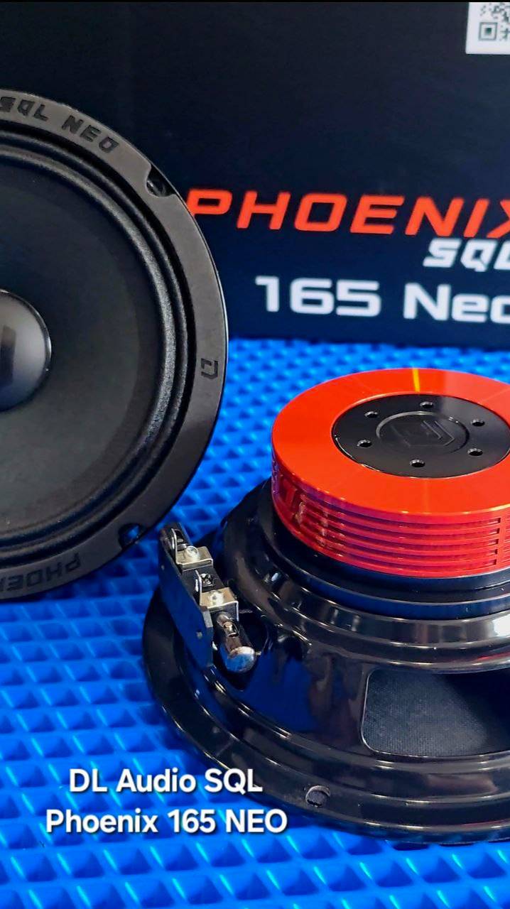 Громкие эстрадные динамики Fhoenix 165 NEO от DL Audio смотреть онлайн