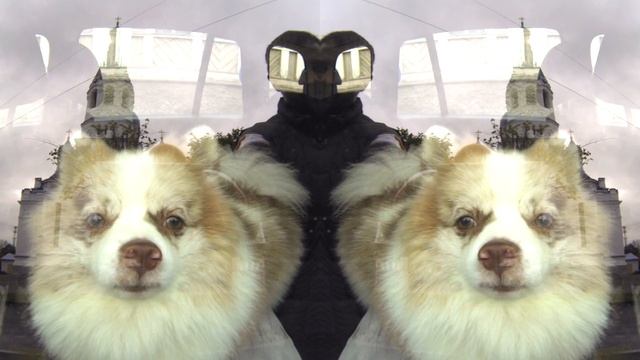 Мистер Шпиц смотреть онлайн