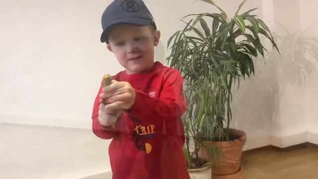 Толстовка ORCHESTRA для мальчика от 2 до 10 лет (HGAKIK\RGM01\кра\SS19) смотреть онлайн