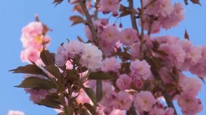 Когда муж не вернулся с рыбалки, жена заявила в полици?