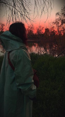 ЧЕРНОБЫЛЬСКАЯ КАТАСТРОФА СТАЛА УРОКОМ..
