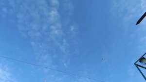 Ох и голубка у Ободовского Александра