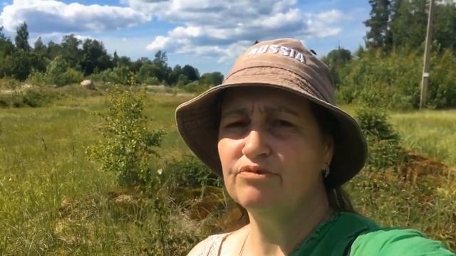 Россия Санкт Петербург Бобочино Поляны Сев.Поб.Финского Залива гор.Церковная лета2020-20247529-753