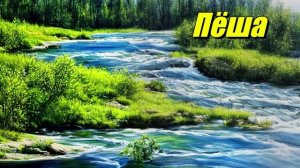 Пёша — река в Архангельской области