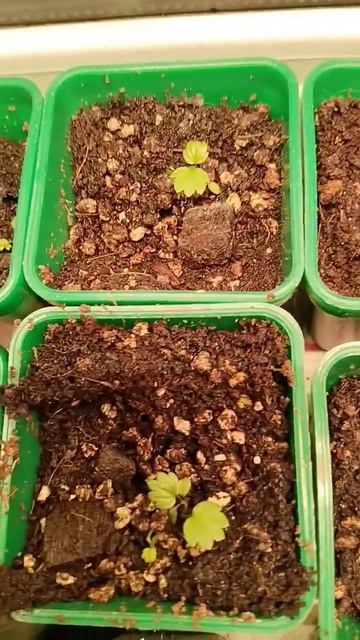 21 февраля 2025 г. смотреть онлайн