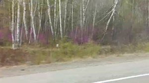 Сельские будни