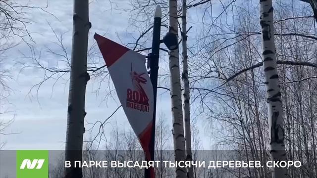 В парке Победы высадят тысячи деревьев. Нижневартовск