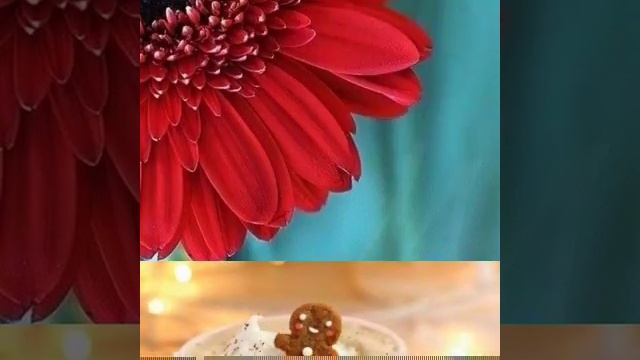 Ставь лайки и подписывайтесь на канал буде супер и весело смотреть онлайн