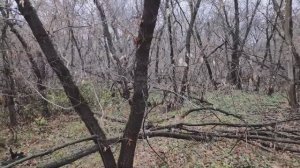 Идём по тропам войны Ч. 1.