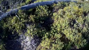 Карелия. Легкая прогулка по старым местам.