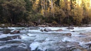 Опасные пороги на Реке Бурен #nature #fishing #mountains #сплавпореке #тыва