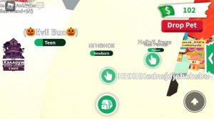 Трейды на ягнёнка Адопт Ми/Trading lamb Adopt Me