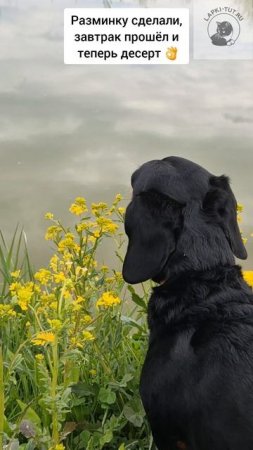 планы на день