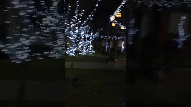 Мелитопольская елка.  Брив ла Гайард.19.12.21.50