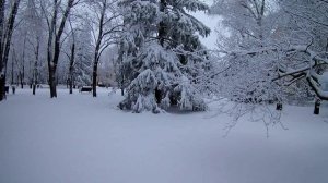 Зимний Ставрополь 2019