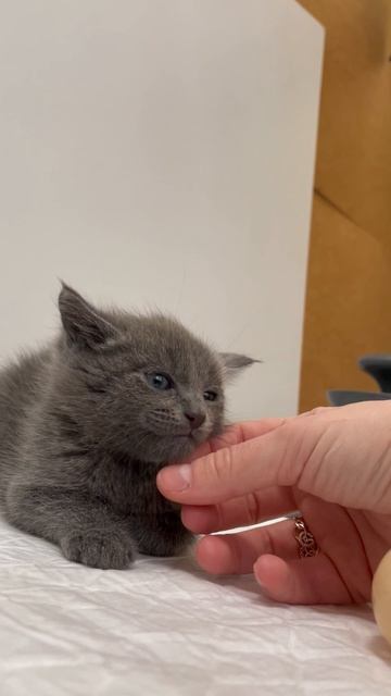 16-05-2025 смотреть онлайн