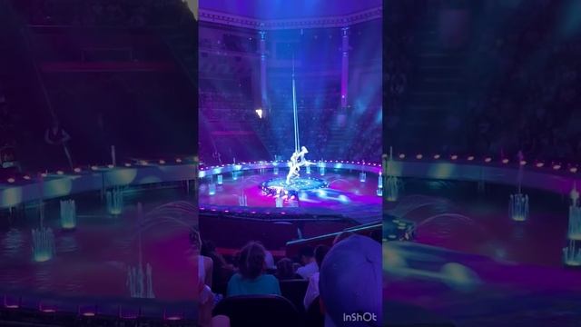 Цирк имени Никулина❤️#цветнойбульвар