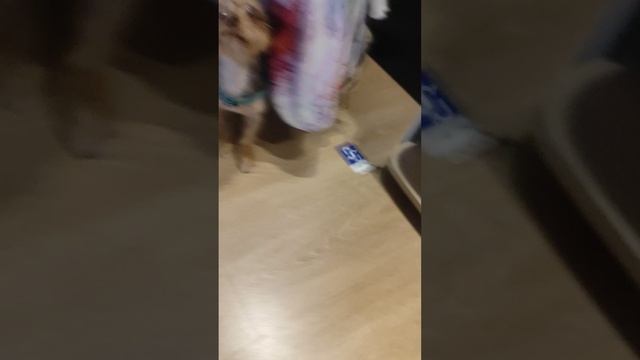 вредблог
