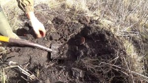 ОТКОПАЛ И ОФИГЕЛ!!! ДОСТАЮ ИЗ КУЗНИ СЕРЬЁЗНЫЕ... Коп мет?