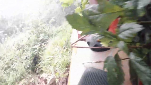 мотобрат п.Преображение, лайт эндуро Приморский край Regulmoto Crosstrec 300, ZR250, Athlette смотреть онлайн