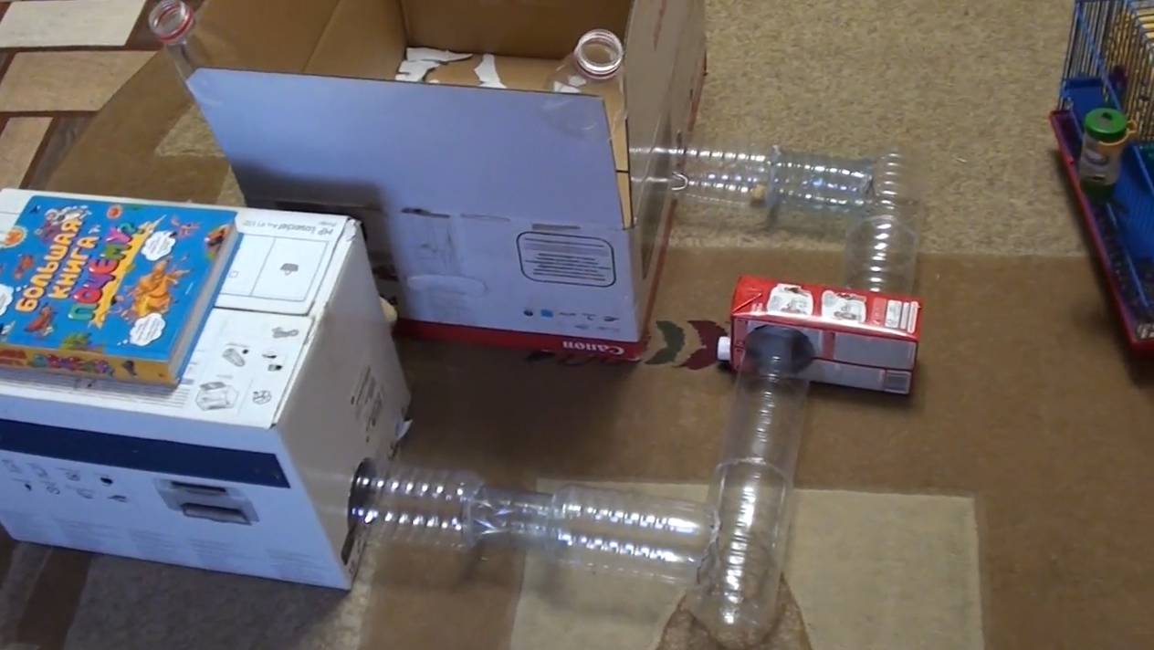 Прогулочный лабиринт для хомяка своими руками смотреть онлайн