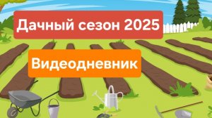 ВЛОГ: Дачный сезон 2025. Видеодневник садовода. Жизнь на даче. #дача #садоводство
