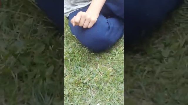 Экспиремент что будет если добавить в колу,ванту ментос(нас обмонули в магазине мы прасиси ментос а смотреть онлайн