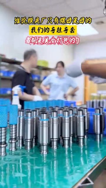 17. Professional manufacturer of Guide pillar,guide bush,guide rod #moldcomponents #manufacturer
