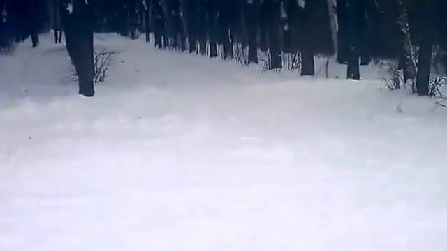 VLOG  Кто со мной на каток?