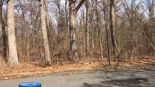 США 🇺🇸 КАК В ФИЛЬМЕ УЖАСОВ 😅 смотреть онлайн