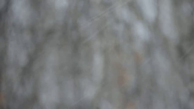 А снег летит кругом январь смотреть онлайн