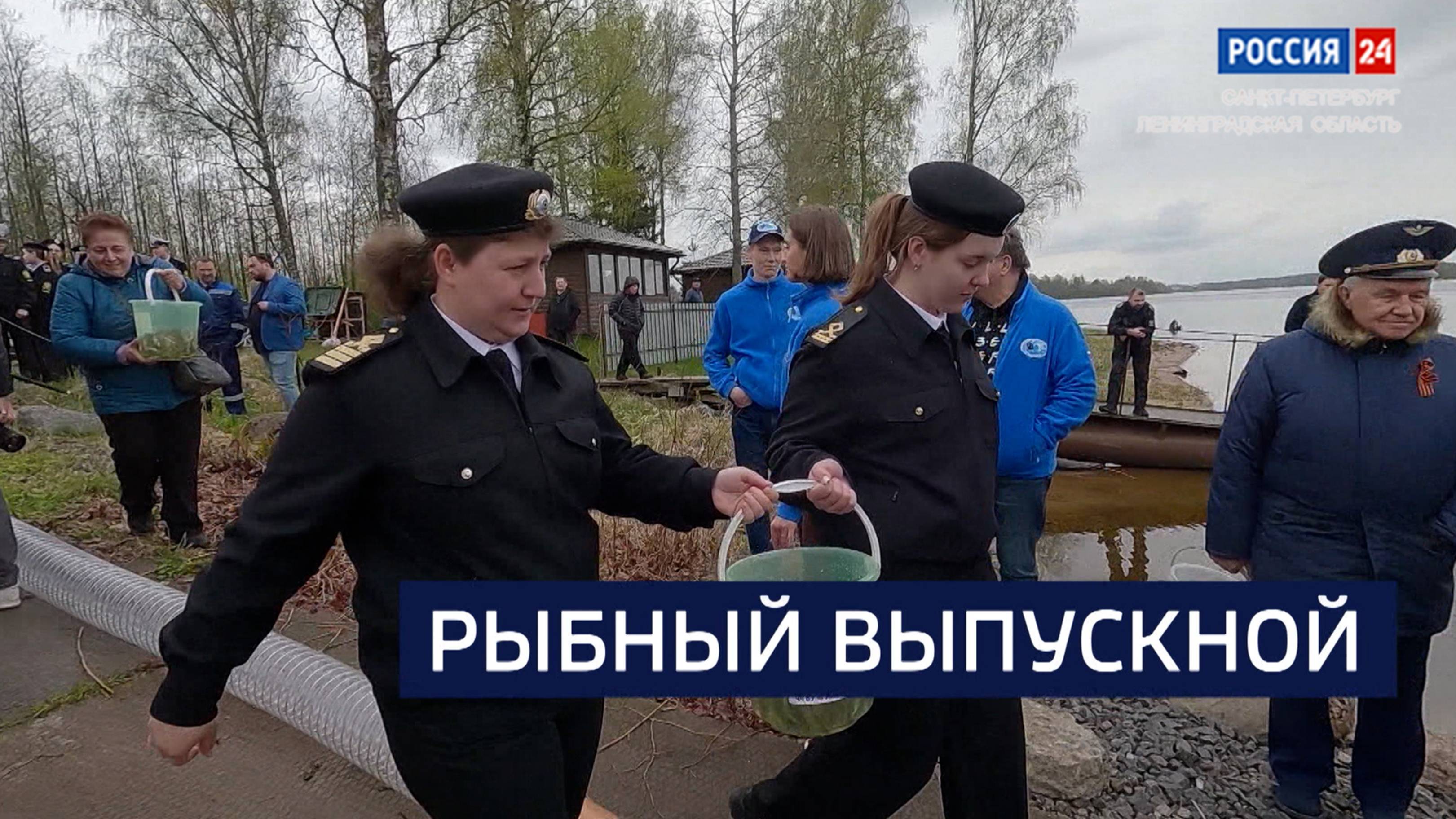 ВЕСТИ 24 Санкт-Петербург от 16.05.2025