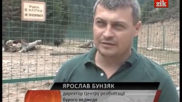 У реабілітаційному центрі бурого ведмедя на Закарпатті зараз 10 підопічних смотреть онлайн