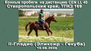 10.05.25 Конные пробеги на дистанцию CEN LL 40. Ставропольский край, ТПКЗ 169. ll место - Глэдис