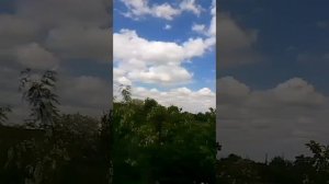 Голуби СВГ Петренко Владимира Николаевича станица Староминская