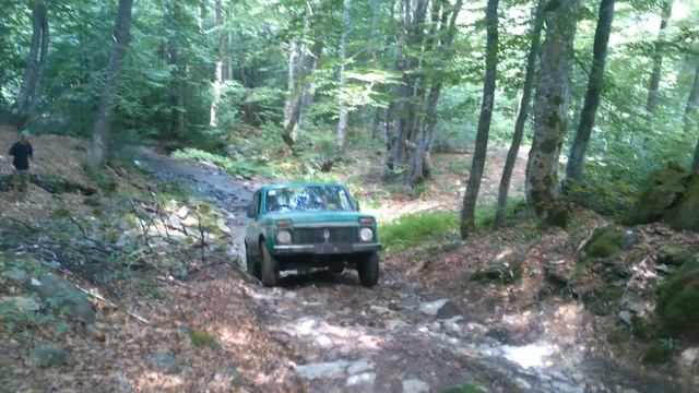 Нива на полонину Крутяк смотреть онлайн