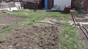 Культиватор и трясогузка