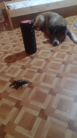 VID-20250515-WA0001.mp4