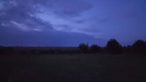 Вечерний концерт.