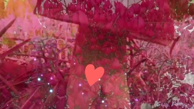 Доброго утра благословенного дня!Отличнной недели!Красивое музыкальное пожелание