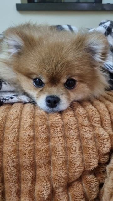 29 березня 2023 р. смотреть онлайн