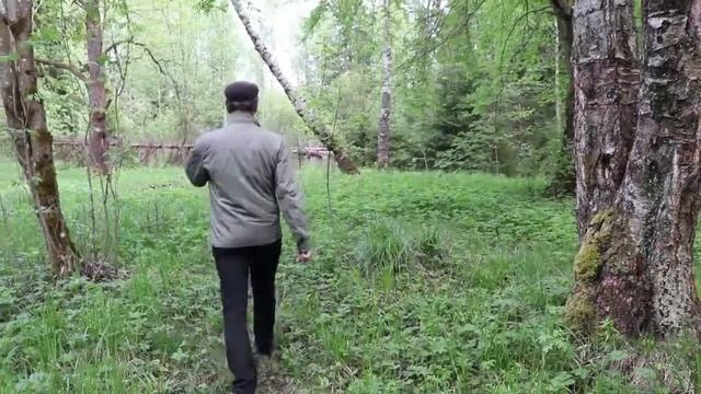 БорщЕвик в Гатчинском парке Зверинец смотреть онлайн